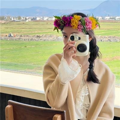 大炮破坏者